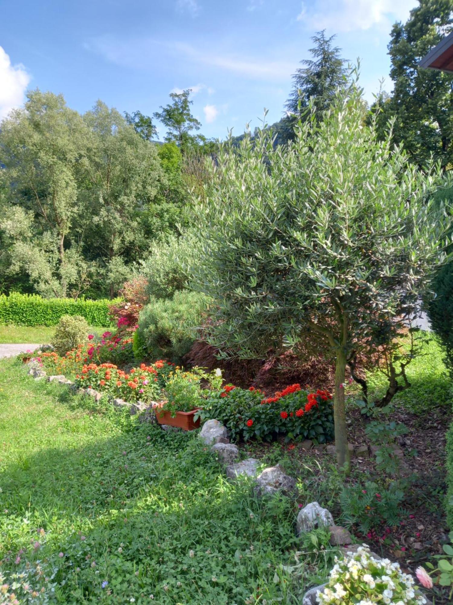 Casa Vacanze Tania Somendenna Exteriér fotografie